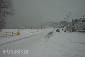 Amaris Wishes Hotel_travel_packages_in_Macedonia_Pieria_Methoni