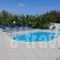 Sami View_best prices_in_Hotel_Ionian Islands_Kefalonia_Fiskardo