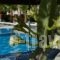 Castro Hotel_lowest prices_in_Hotel_Cyclades Islands_Sandorini_Sandorini Chora