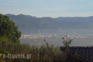 Cinque Casa_best prices_in_Hotel_Central Greece_Fthiotida_Lamia