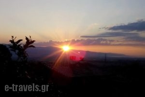 Cinque Casa_lowest prices_in_Hotel_Central Greece_Fthiotida_Lamia