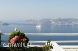 Aeri Villas and Studios in Athens, Attica, Central Greece