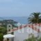 Ventura Rooms_best prices_in_Room_Ionian Islands_Kefalonia_Kefalonia'st Areas