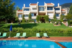 Felix Residence_best prices_in_Hotel_Ionian Islands_Kefalonia_Vlachata