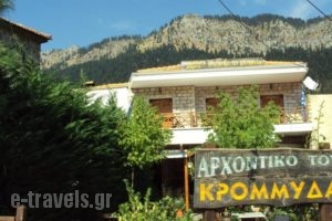 Archontiko Tou Krommyda_best deals_Hotel_Thessaly_Karditsa_Oxia