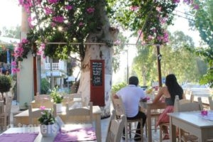 River Side Hotel_best prices_in_Hotel_Crete_Chania_Sfakia