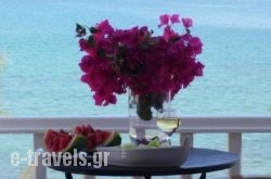 Roussos Beach Hotel in Paros Chora, Paros, Cyclades Islands