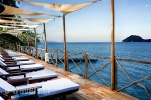 Gloria Maris Hotel Suites and Villa_accommodation_in_Villa_Ionian Islands_Zakinthos_Laganas