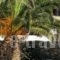 Seirines Apartments_best deals_Apartment_Cyclades Islands_Syros_Syros Rest Areas