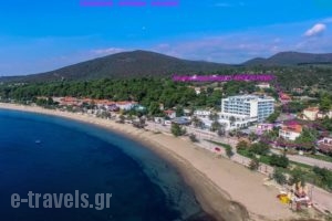 Apocalypsis_best deals_Hotel_Macedonia_Halkidiki_Poligyros