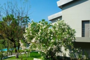 Sani Green Apartments_best deals_Apartment_Macedonia_Halkidiki_Kassandreia