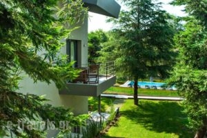 Sani Green Apartments_lowest prices_in_Apartment_Macedonia_Halkidiki_Kassandreia