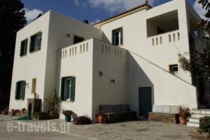 Villa Ioanna_holidays_in_Villa_Cyclades Islands_Andros_Andros City