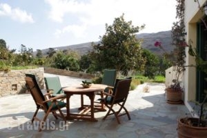 Villa Ioanna_accommodation_in_Villa_Cyclades Islands_Andros_Andros City