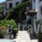 Thea Home Hotel_accommodation_in_Hotel_Sporades Islands_Skopelos_Skopelos Chora