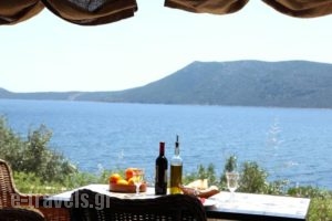 Casa Kalypso Suites & Villa_accommodation_in_Villa_Sporades Islands_Alonnisos_Patitiri