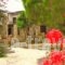 Cochili_accommodation_in_Hotel_Cyclades Islands_Syros_Posidonia