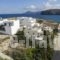 Papafragas Studios_best prices_in_Hotel_Cyclades Islands_Milos_Adamas
