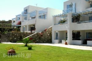 Paros Paradise Apartments_best prices_in_Apartment_Cyclades Islands_Paros_Paros Chora