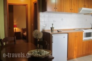 Papanestoras Apartments_best prices_in_Apartment_Thessaly_Magnesia_Pilio Area