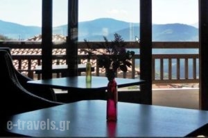 Selestina Boutique Hotel_holidays_in_Hotel_Central Greece_Evritania_Karpenisi