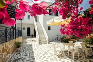Theologos Place_best prices_in_Hotel_Cyclades Islands_Antiparos_Antiparos Chora