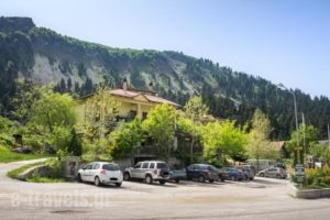 Zampakas Hotel Panorama_lowest prices_in_Hotel_Thessaly_Karditsa_Oxia