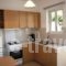 Stefanakis Hotel & Apartments_best prices_in_Apartment_Central Greece_Attica_Vari
