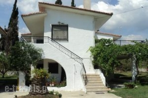 Katerina Apartments_travel_packages_in_Thessaly_Magnesia_Pilio Area