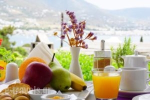 Akrotiri Hotel_best prices_in_Hotel_Cyclades Islands_Paros_Paros Chora