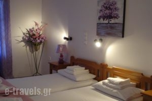 Amphitrite_best prices_in_Hotel_Dodekanessos Islands_Kalimnos_Kalimnos Chora