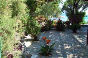 Oasis Studios_best prices_in_Hotel_Aegean Islands_Samos_Samosora