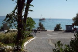 Oasis Studios_travel_packages_in_Aegean Islands_Samos_Samosora