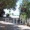 Oasis Studios_accommodation_in_Hotel_Aegean Islands_Samos_Samosora
