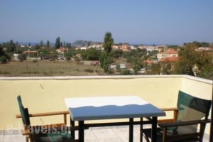 Vasiliki Studios_best prices_in_Hotel_Aegean Islands_Lesvos_Petra