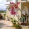 Treehouse Holiday Homes_holidays_in_Hotel_Piraeus Islands - Trizonia_Spetses_Spetses Chora