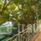 Cavo Mytikas Aparthotel_accommodation_in_Hotel_Central Greece_Aetoloakarnania_Mytikas