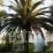 Cavo Mytikas Aparthotel_lowest prices_in_Hotel_Central Greece_Aetoloakarnania_Mytikas