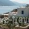 Amorgi Studios_accommodation_in_Hotel_Cyclades Islands_Amorgos_Amorgos Chora