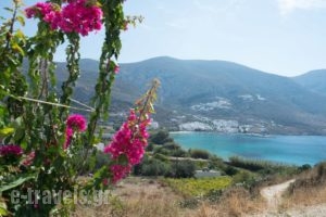 Amorgi Studios_best deals_Hotel_Cyclades Islands_Amorgos_Amorgos Chora