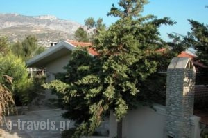 Holiday Home Villa Stella 1_holidays_in_Villa_Crete_Heraklion_Heraklion City