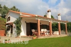 Villa Eleven_s __1