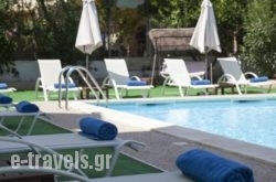 Seagull Hotel and Apartments in Agia Marina , Chania, Crete