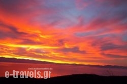 Studios Madalena_s __1