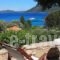 Lithea Villas and Studios by the Sea_best deals_Villa_Sporades Islands_Skopelos_Neo Klima - Elios