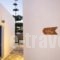 Kritikakis Village Hotel_best deals_Hotel_Cyclades Islands_Ios_Ios Chora