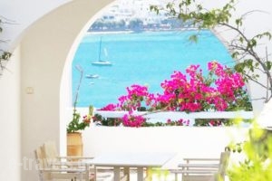 Paros Paradise Apartments_best deals_Apartment_Cyclades Islands_Paros_Paros Chora
