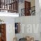 Pansion Prodromina_best deals_Hotel_Sporades Islands_Skopelos_Skopelos Chora