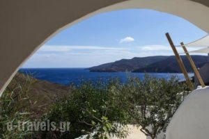 Pylaia Boutique Hotel & Spa_lowest prices_in_Hotel_Dodekanessos Islands_Astipalea_Livadia