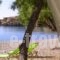 Apothikes Apartments_best deals_Apartment_Crete_Lasithi_Koutsounari